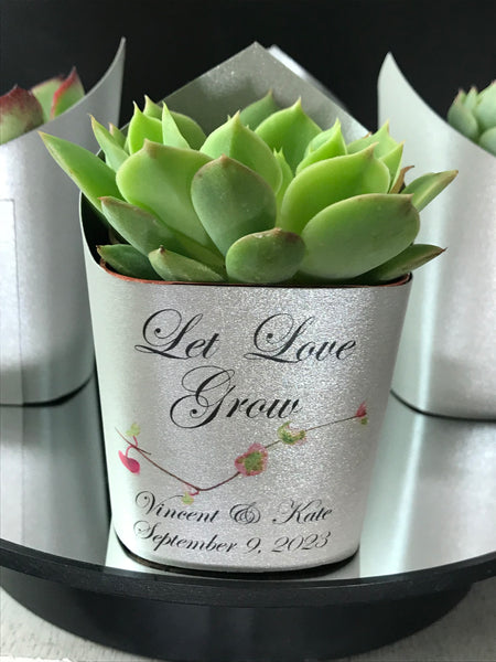 cheap succulent favors Wedding Favors Succulent Wrappers, Silver Shimmer