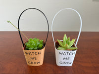 Baby Shower Favors Succulent Wraps with Handle, Kraft Paper and White - Plants not included