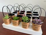 Wedding Favors Succulent Wraps with Handle, Kraft Paper and White - plants not included