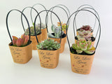 Succulent Wrappers with Handles for Wedding Favors - [plants not included]