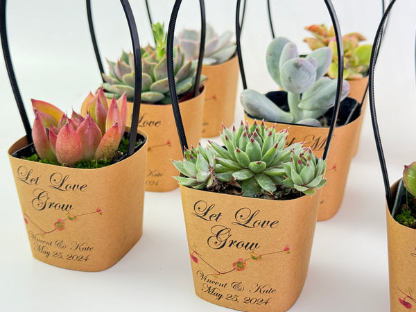 succulent wrapping ideas Succulent Wrappers with Handles for Wedding Favors