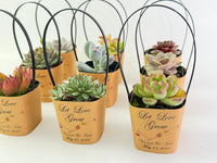 Succulent Wrappers with Handles for Wedding Favors - [plants not included]