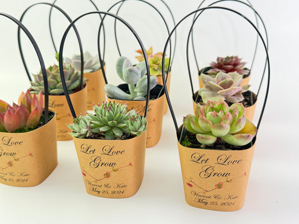 succulent plant wedding giveaways Succulent Wrappers with Handles for Wedding Favors