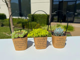 Mother's Day Gifts - Wrappers with Handles- with Succulents