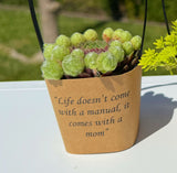 Mother's Day Gifts - Wrappers with Handles- with Succulents