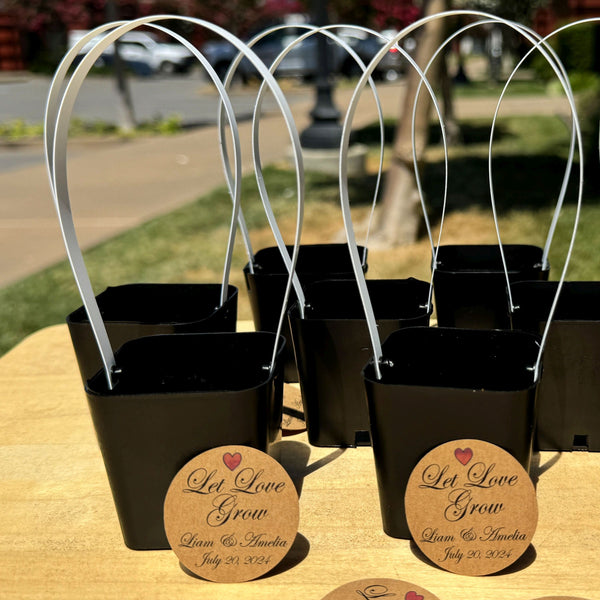 wedding gift plant pot NEW DESIGN! Succulent Black Pots with White Handles for Wedding Favors – Evergreen Farm