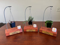 Mother's Day Gift Succulent Hanging Basket with Candle on Self Support Base