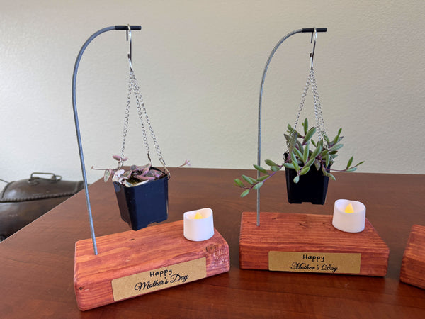 succulent hanging box Mother's Day Gift Succulent Hanging Basket with Candle on Self Support – Evergreen Farm