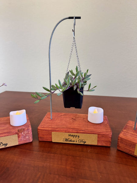 succulent plant gift baskets Mother's Day Gift Succulent Hanging Basket with Candle on Self Support – Evergreen Farm