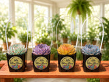 NEW! Custom Printed Succulents Pots with Handles for Wedding Favors