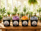 NEW! Custom Printed Succulents Pots with Handles for Wedding Favors
