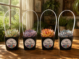 NEW! Custom Printed Succulents Pots with Handles for Wedding Favors